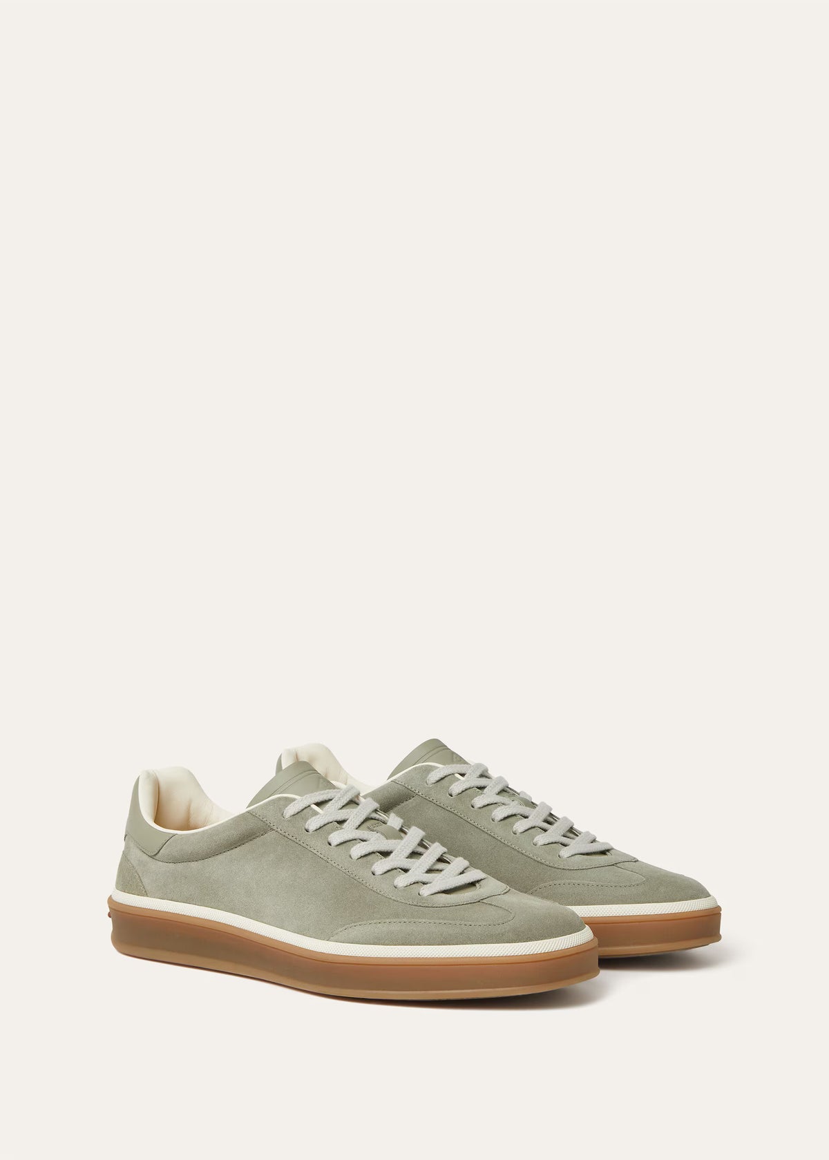 Wild Desert Sage (5O8I)